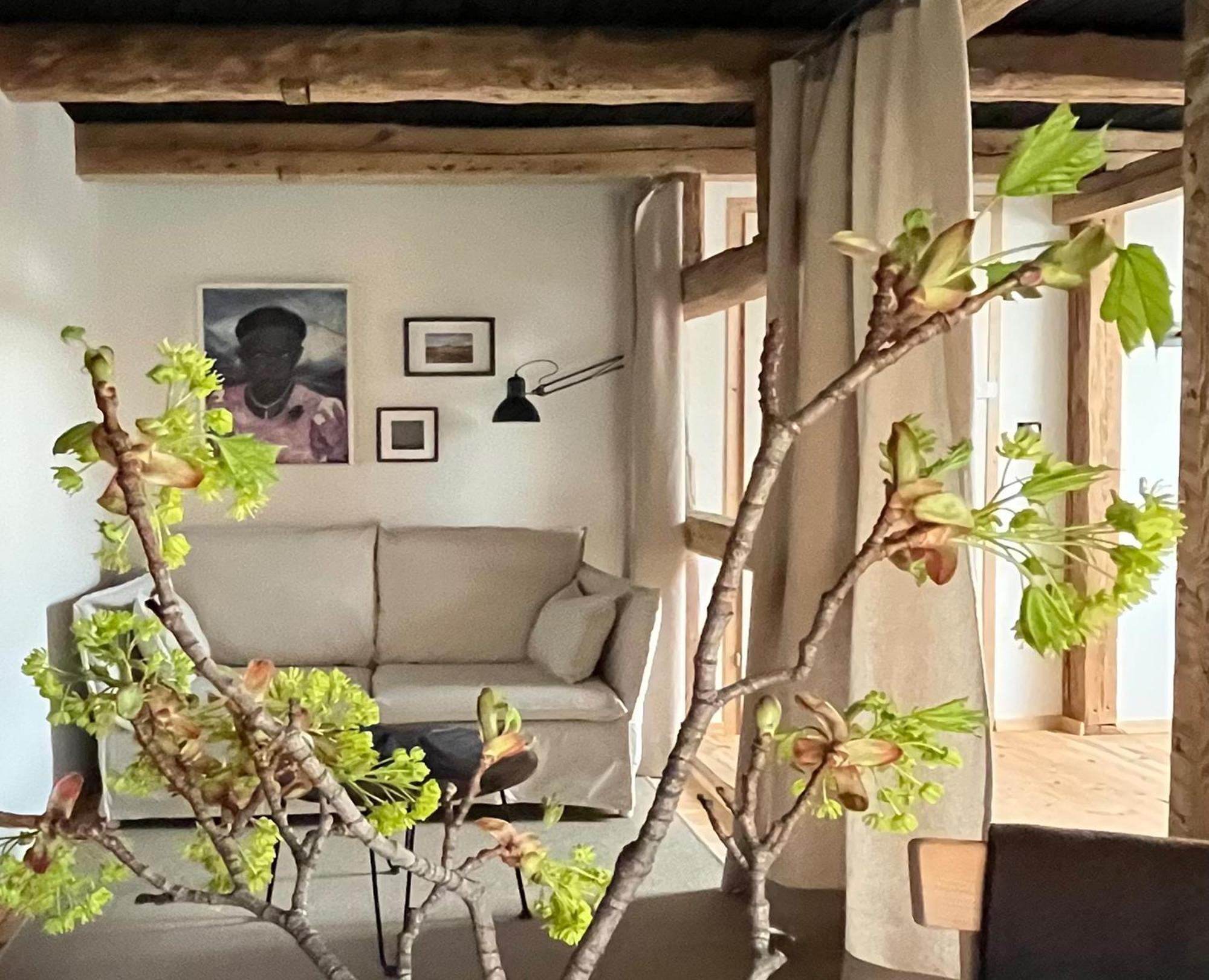 Farm stay Wietorowka Lubomierz (Lower Silesia)